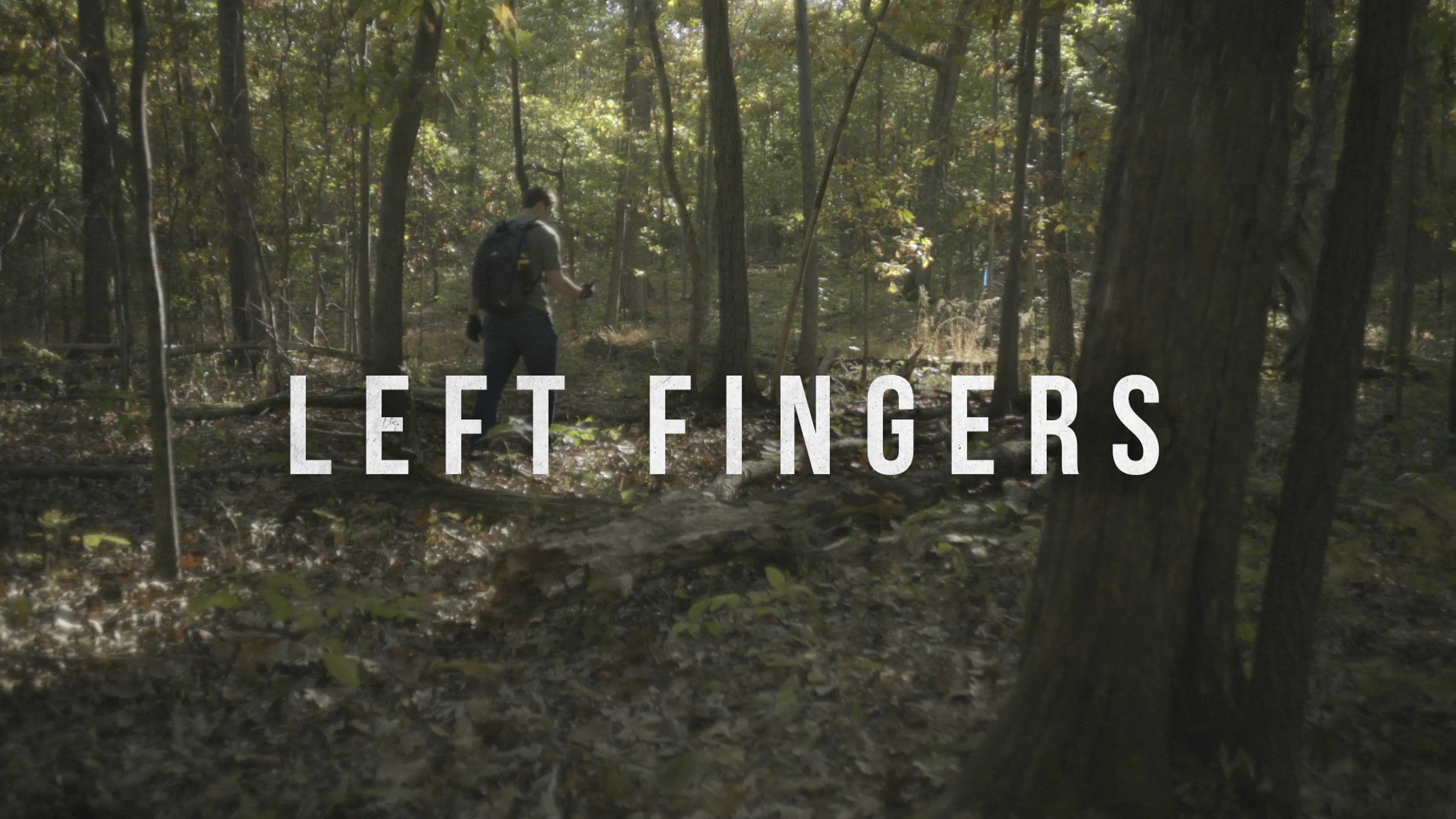 Left Fingers poster